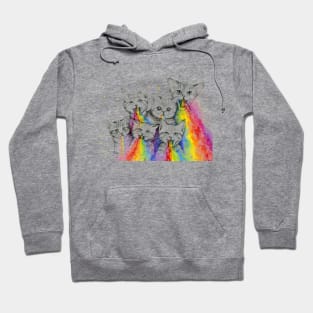 Kittens Puking Rainbows Hoodie